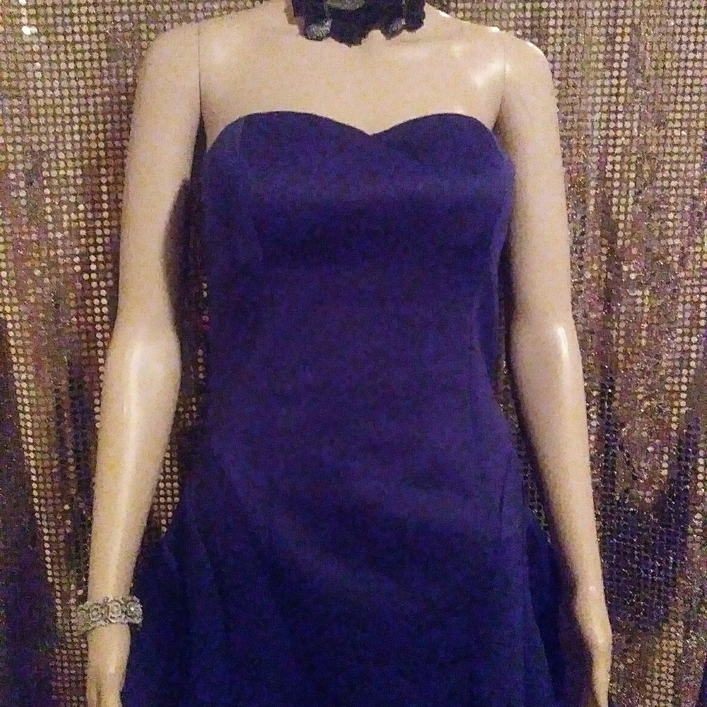 Shasta form fitting dress